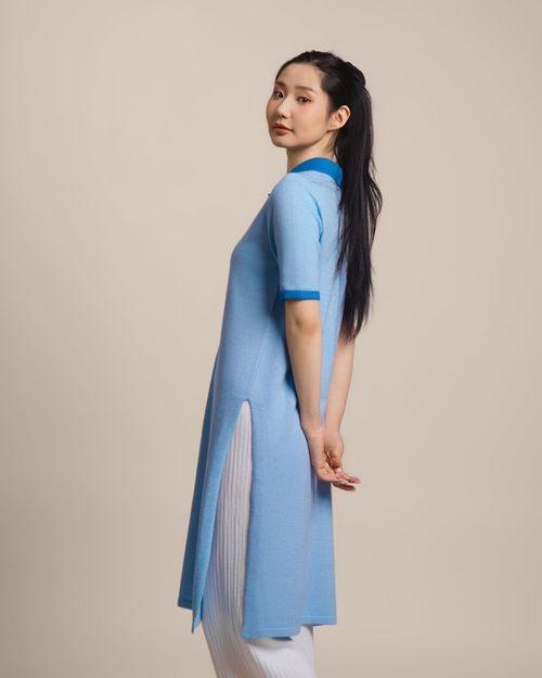 Polo dress