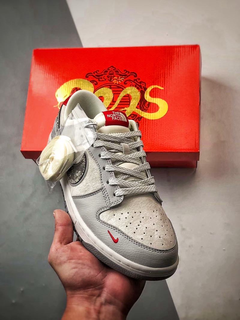 Nike x The North Face Dunk DIY